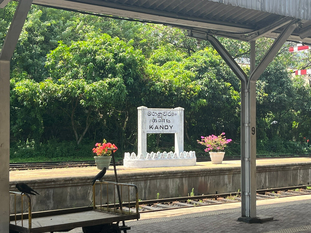 Sri Lanka Transfers-康提必去景点