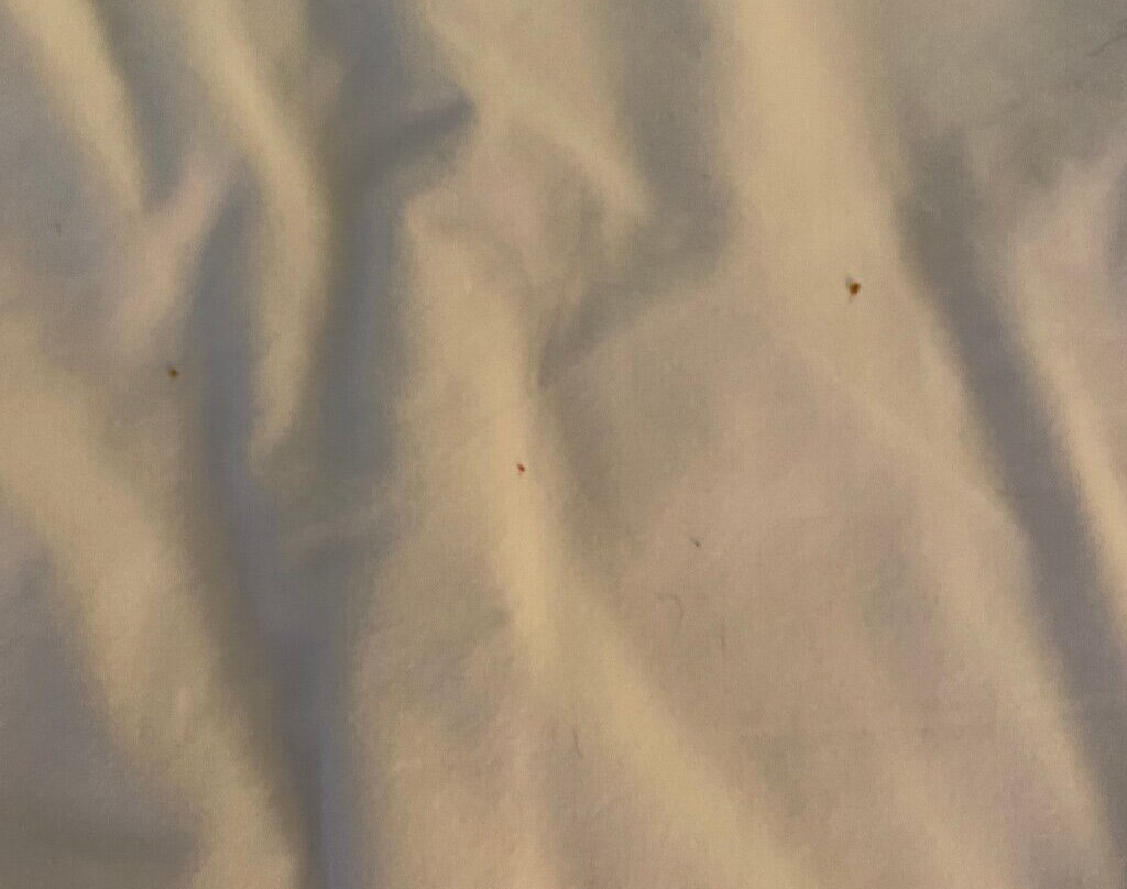 Mulberry, A Wyndham Hotel主图