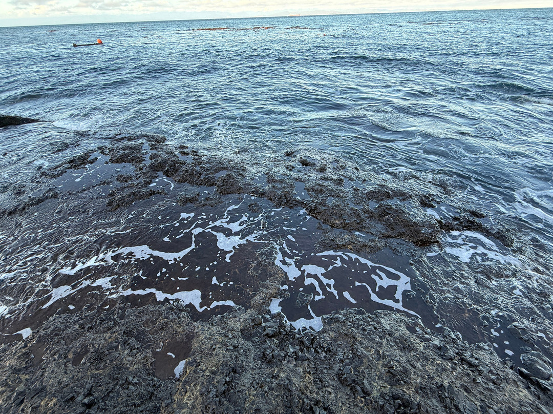 Salt Creek Recreation Area-安吉利斯港必去景点