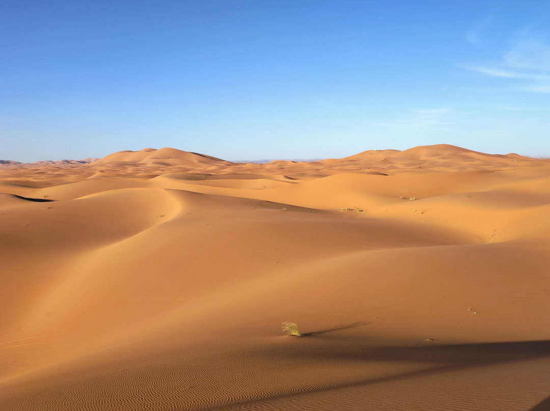 Desert Discovery Tours景点图片