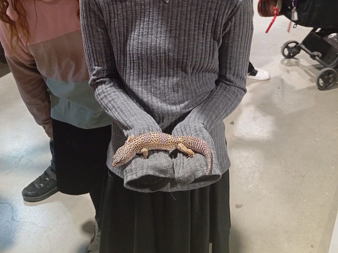 The Biblical Museum of Natural History-Beit Shemesh必去景点