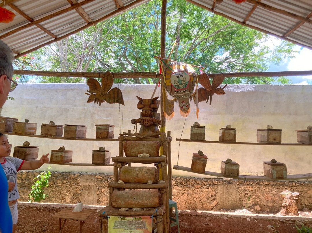 Jardin Alak景点图片