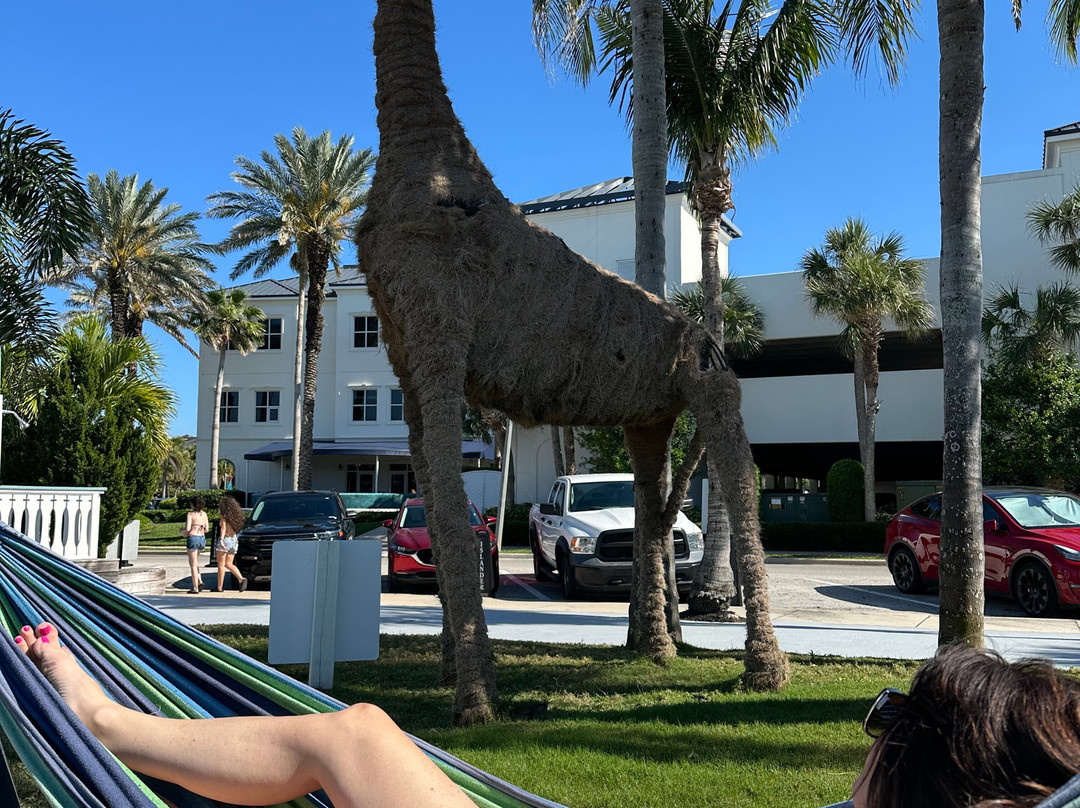 The Islander Inn主图