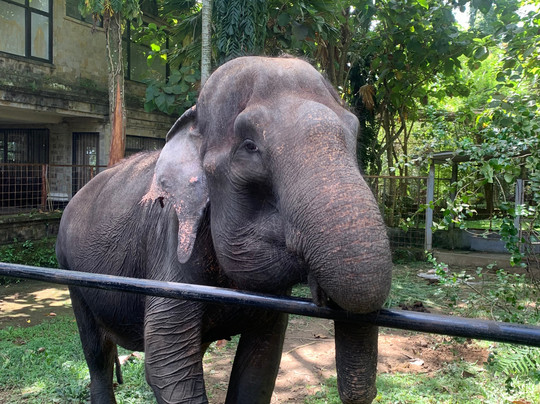 Bakas Adventure Park-Bakas必去景点