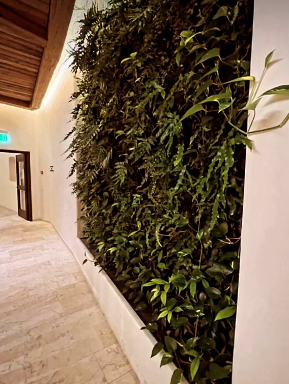 阿尔皮纳格施塔德酒店-官方