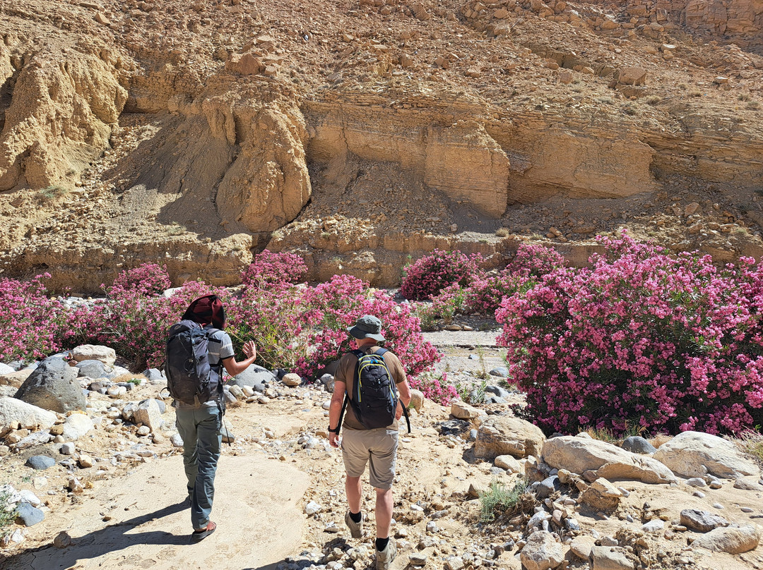 Bedouin Journeys Adventure-Dana必去景点