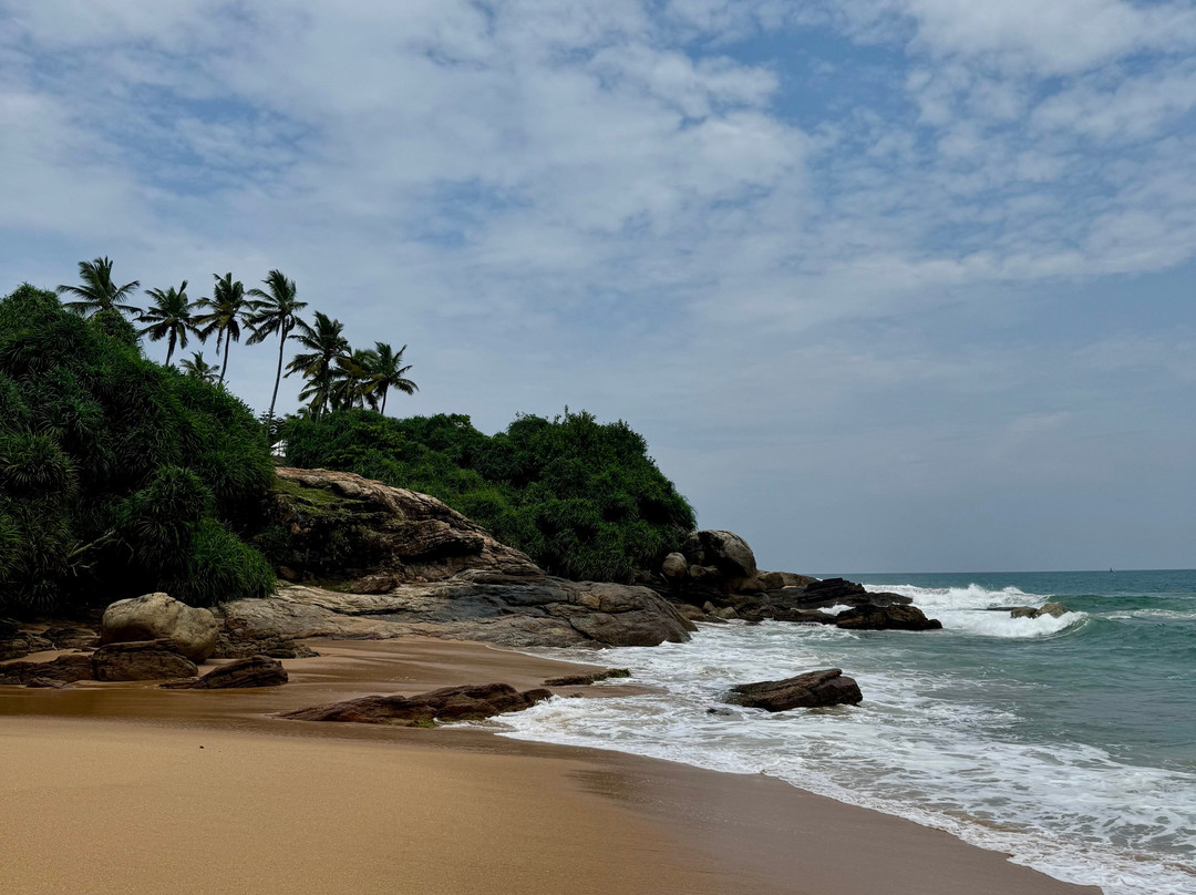 Niraamaya Retreats Surya Samudra主图