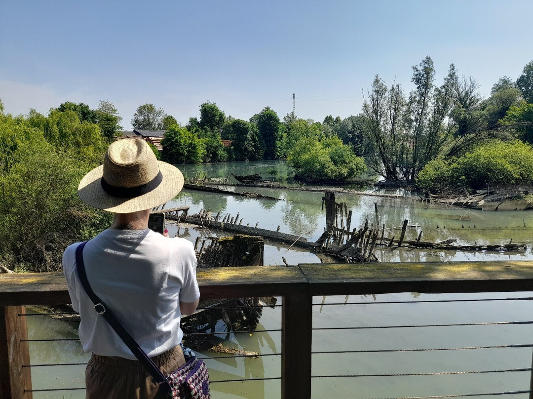 Cimitero dei Burci-Casier必去景点