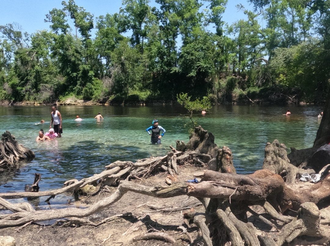 Madison Blue Springs State Park-Lee必去景点