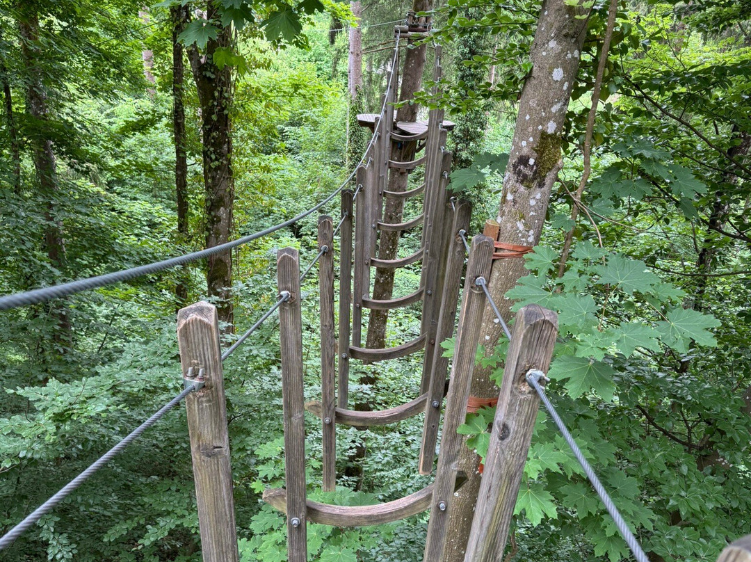 Adventure Park Rheinfall-诺伊豪森必去景点