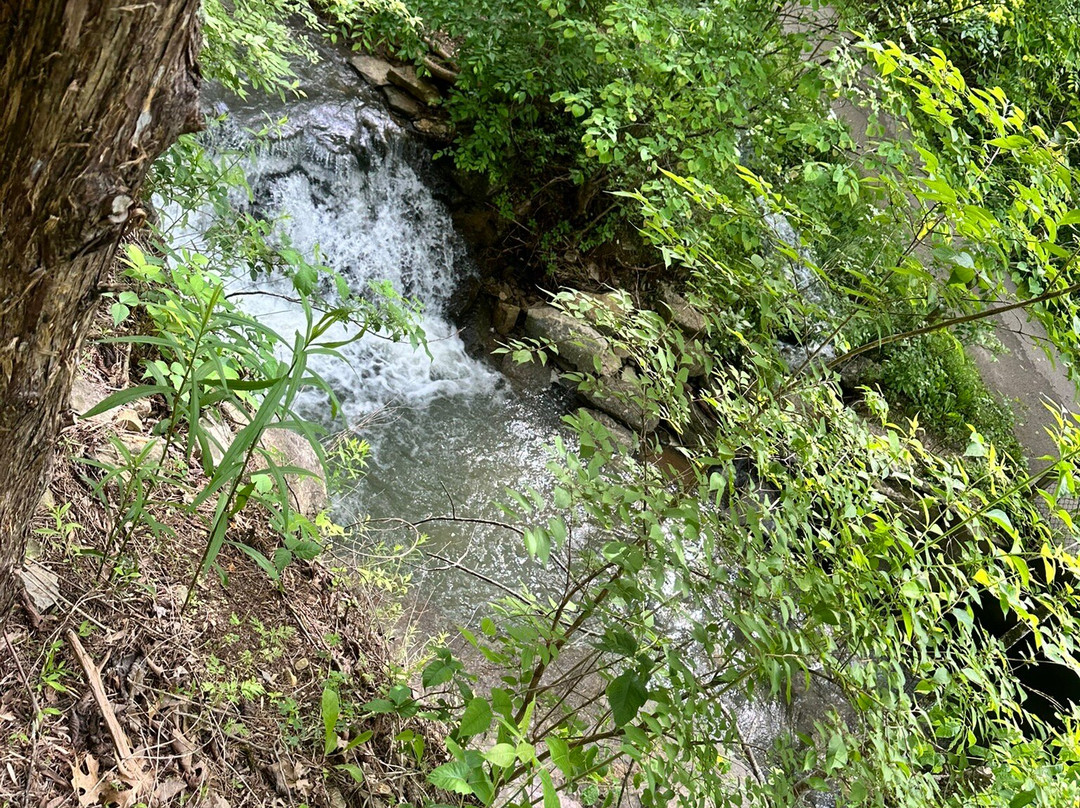 Cove Springs Park-法兰克福必去景点