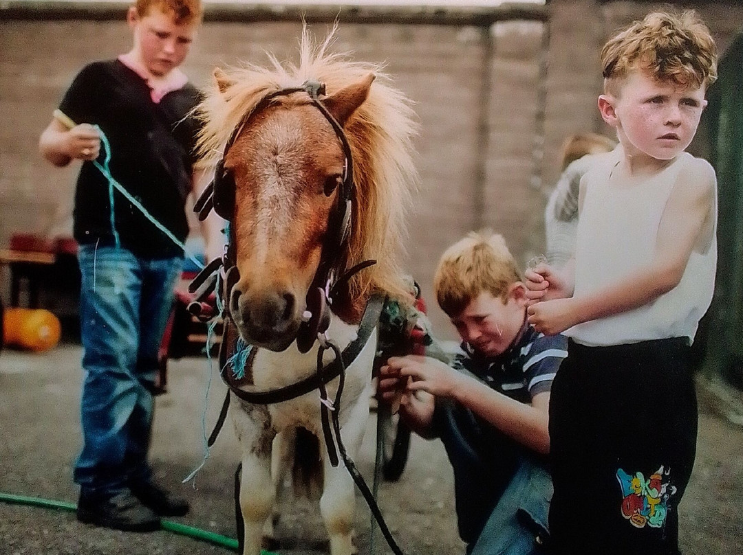 Cork Public Museum-科克必去景点
