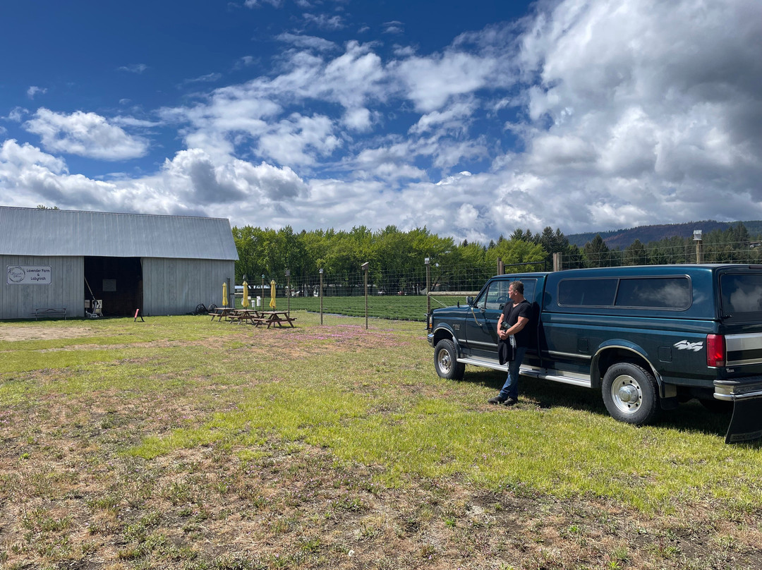 Love'nder Acres Lavender Farm and Labyrinth