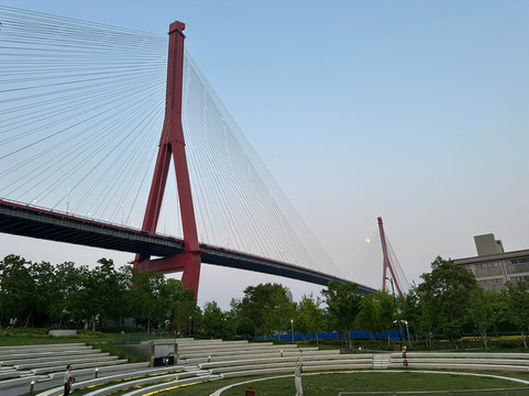 杨浦大桥-上海市必去景点