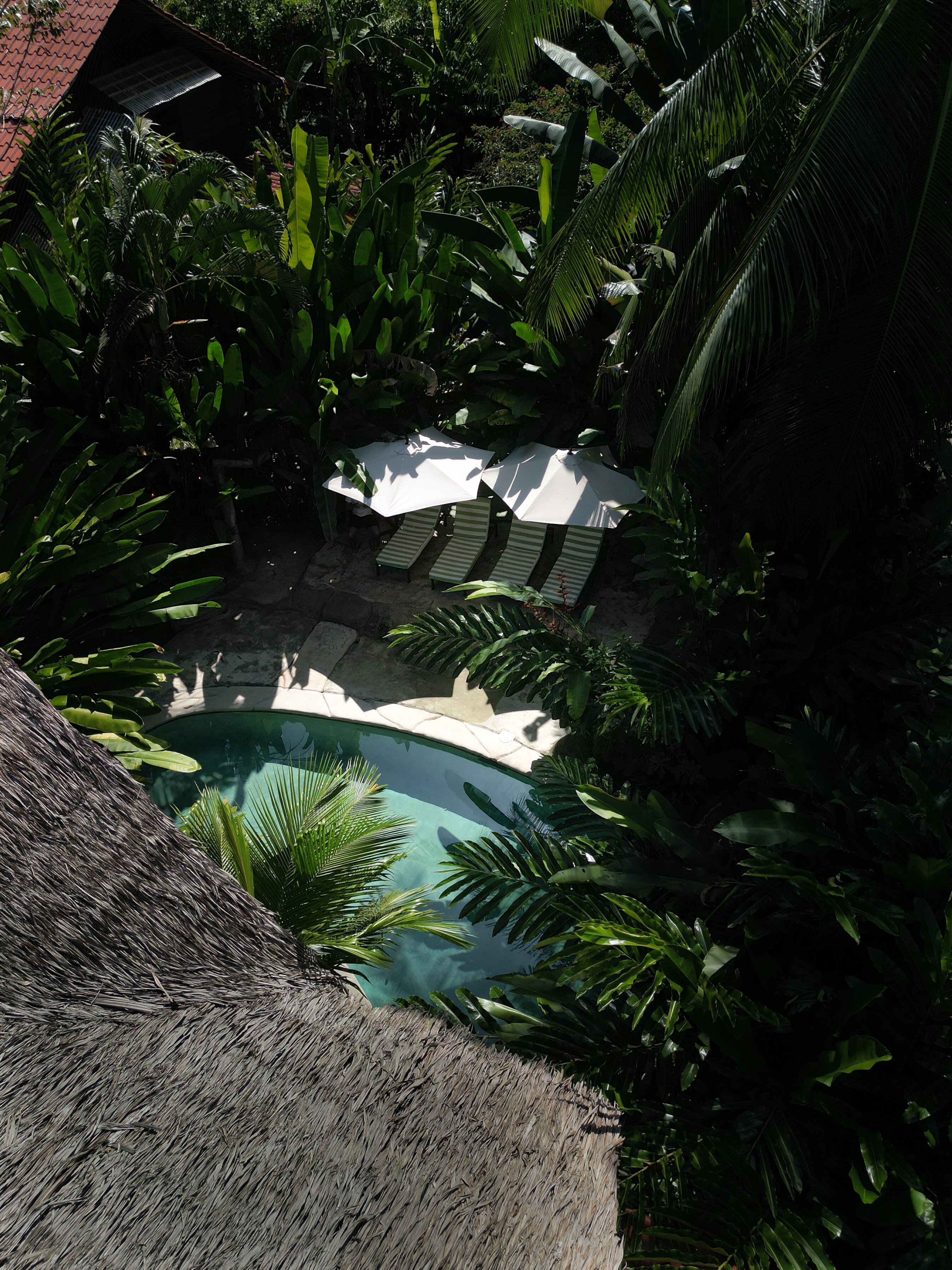 Conga Boutique Hotel-泳池