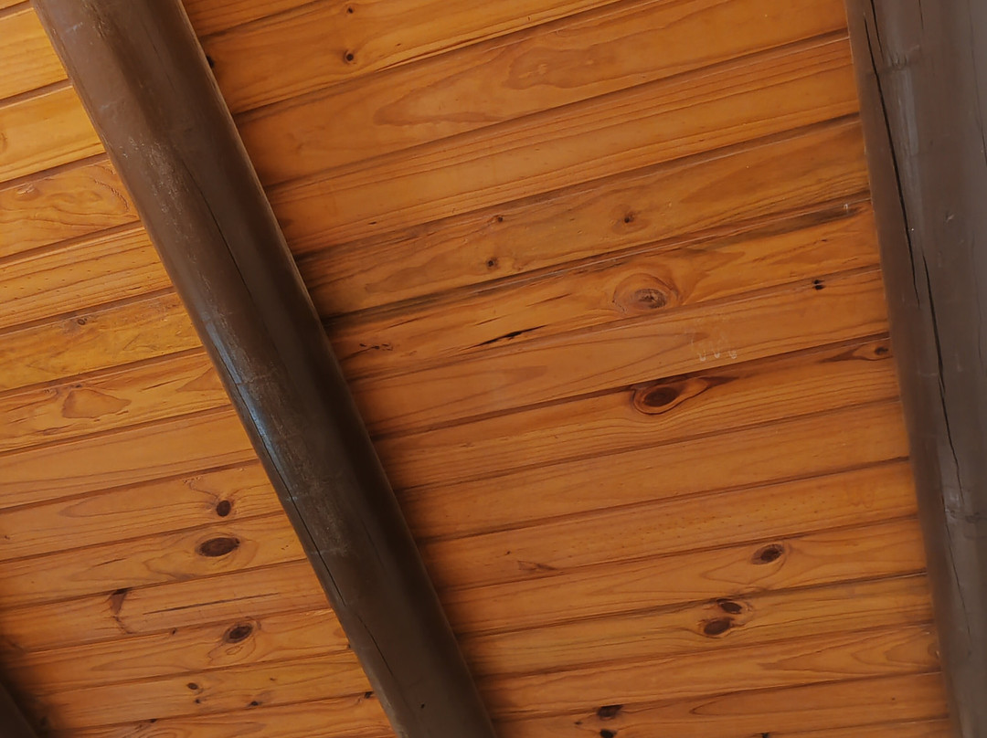 Termas El Corazon主图