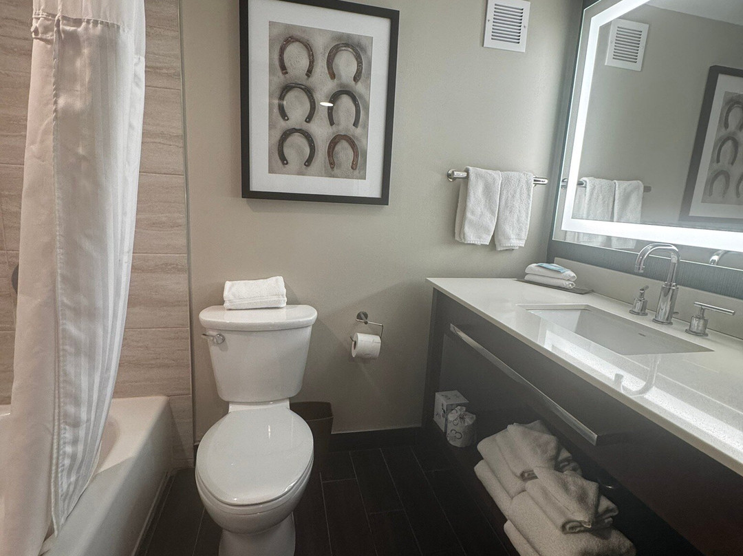 DoubleTree by Hilton Lubbock University Area主图