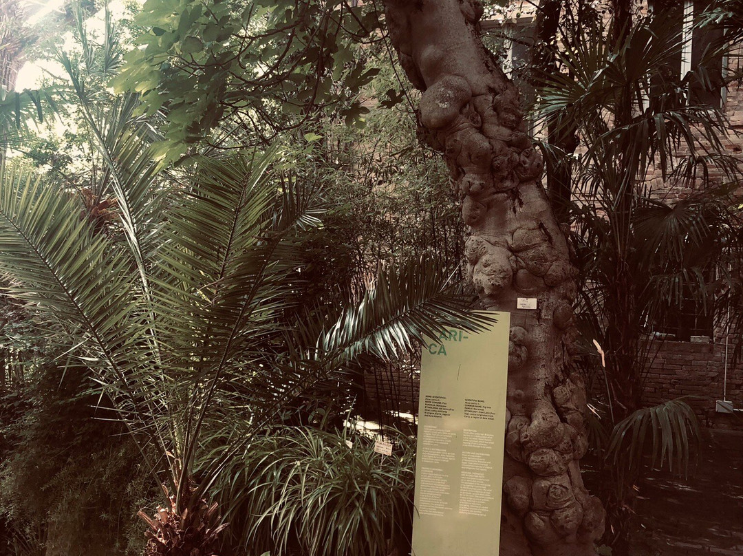 Orto Botanico Dell'Università di Urbino Carlo Bo-乌尔比诺必去景点