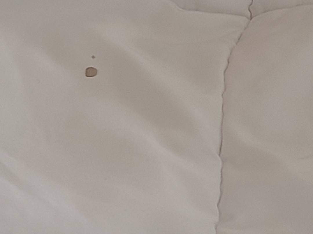 南萨凡纳贝蒙特旅馆套房酒店主图