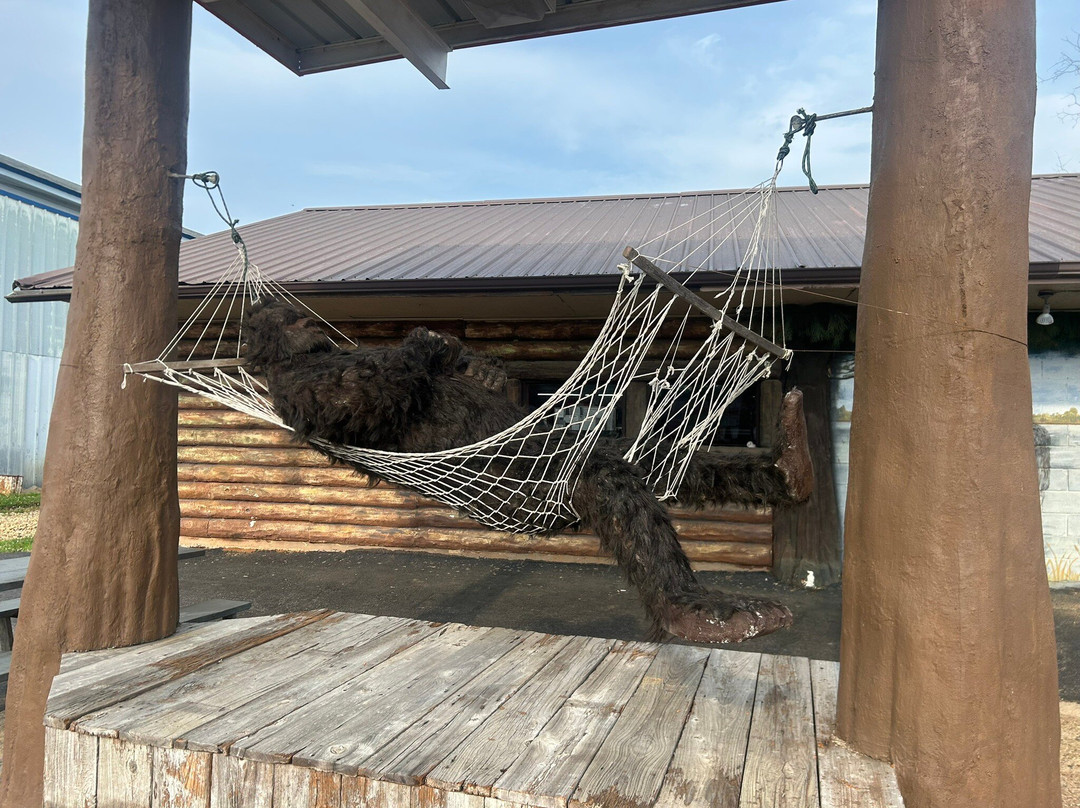 Monster Mart-Fouke必去景点