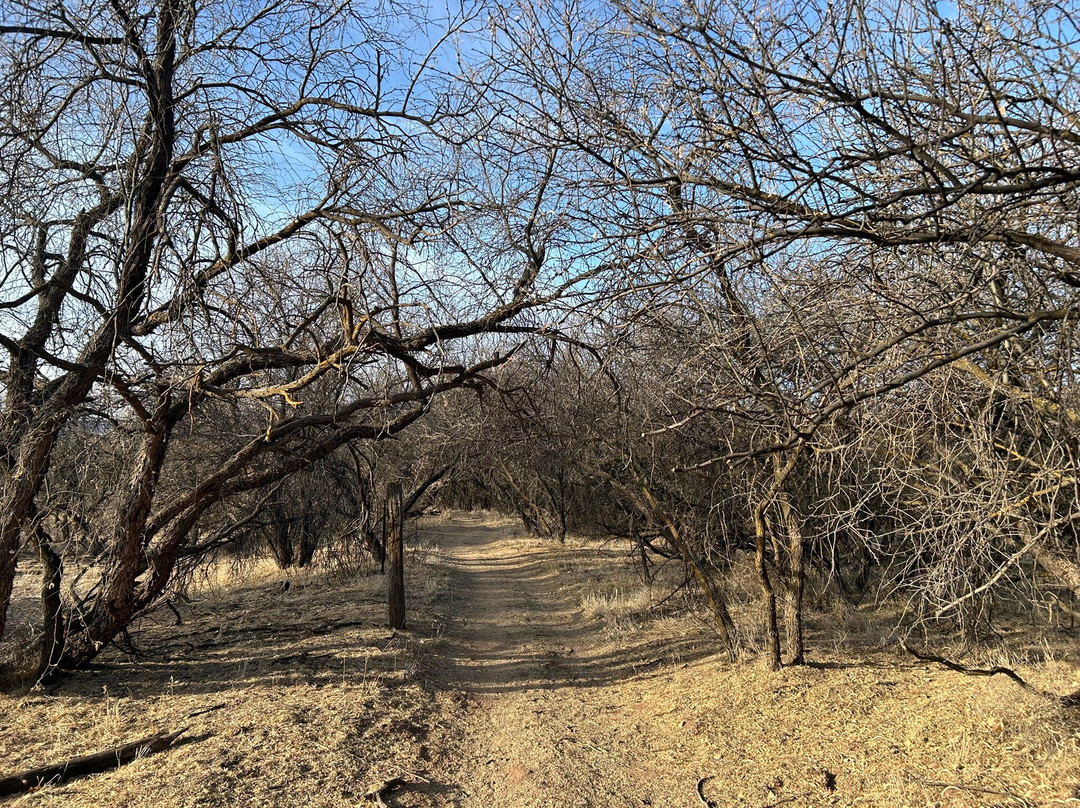 Dead Horse Ranch State Park-Cottonwood必去景点