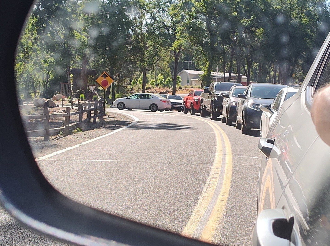 Pine Mountain Lake Marina-格罗夫兰必去景点