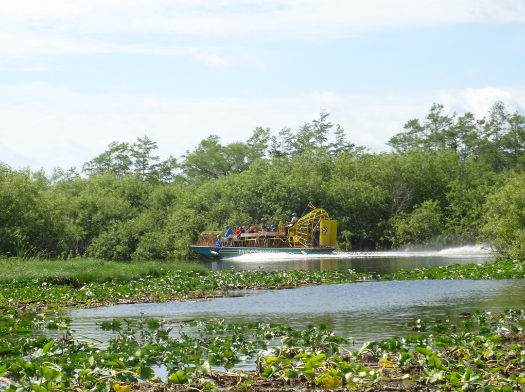 Ernest F. Coe Visitor Center-大沼泽国家公园必去景点