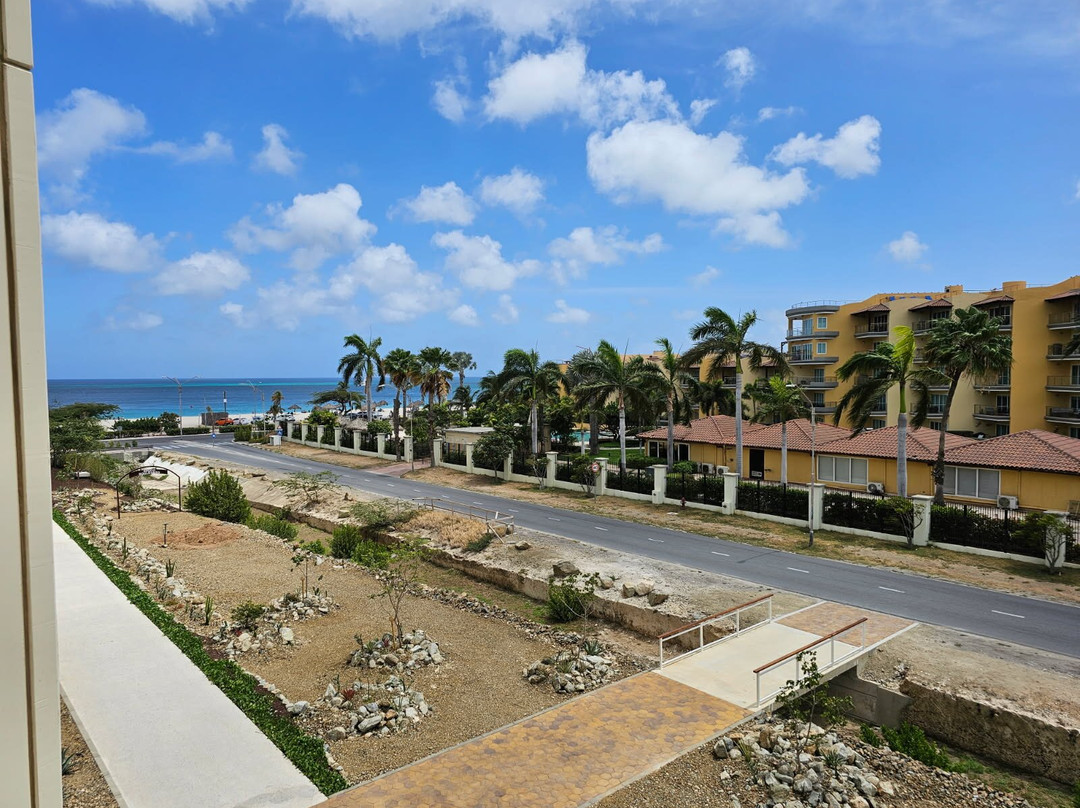 JOIA Aruba By Iberostar主图