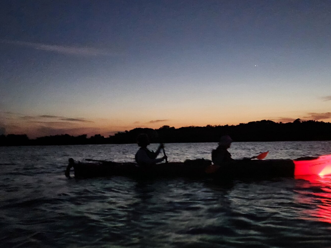 Ripple Effect Ecotours-圣奥古斯丁必去景点