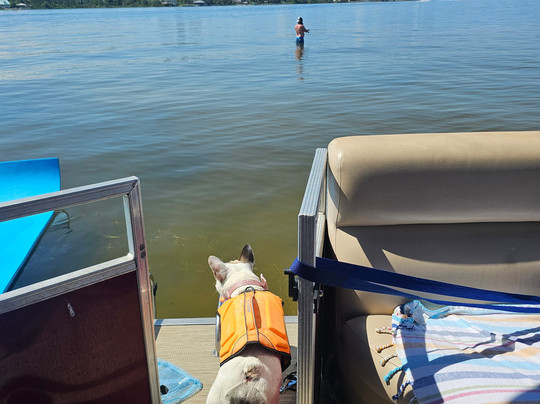 Hudson Marina-橙色海湾必去景点