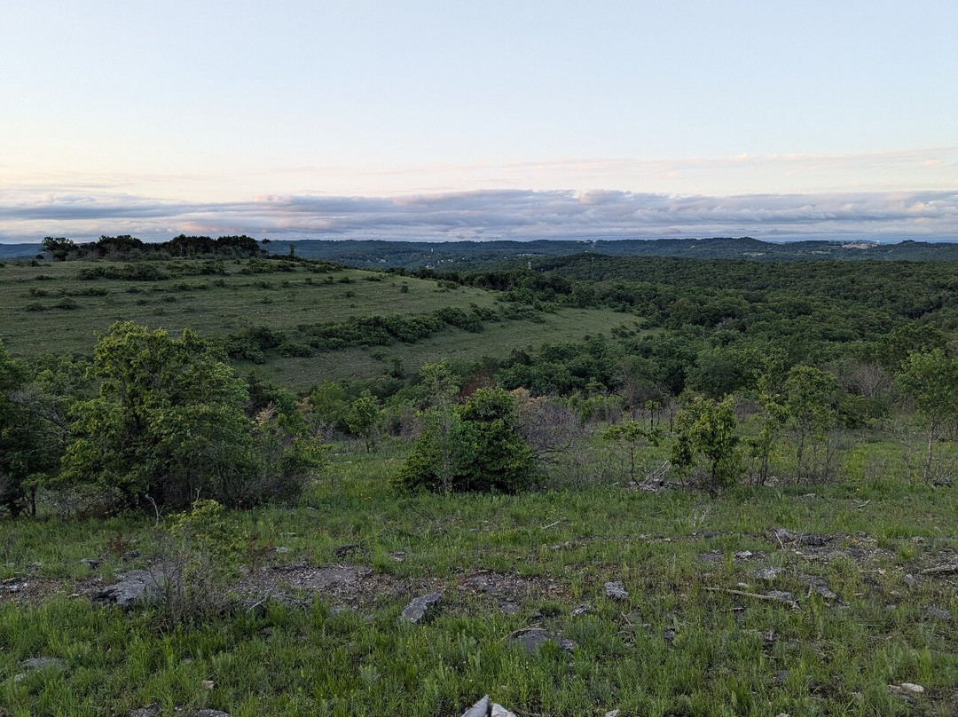Ruth and Paul Henning Conservation Area-布兰森必去景点