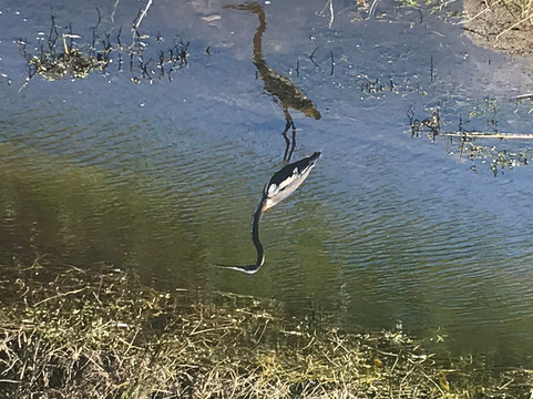 Lagoon Greenway-维罗海滩必去景点