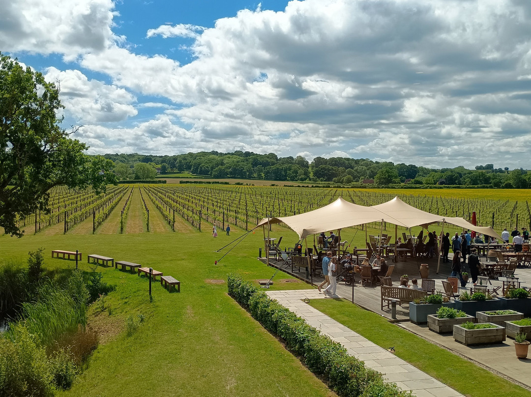 Balfour Winery景点图片