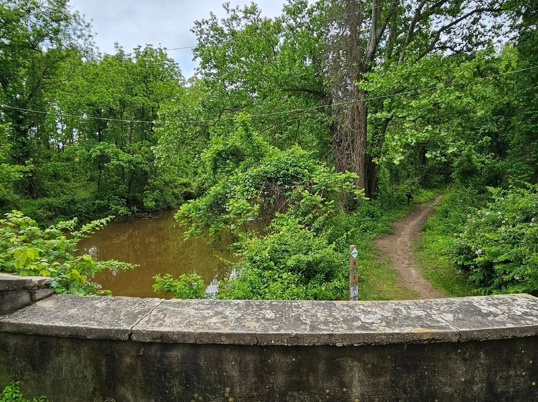 Fair Hill State Natural Resources-埃尔克顿必去景点
