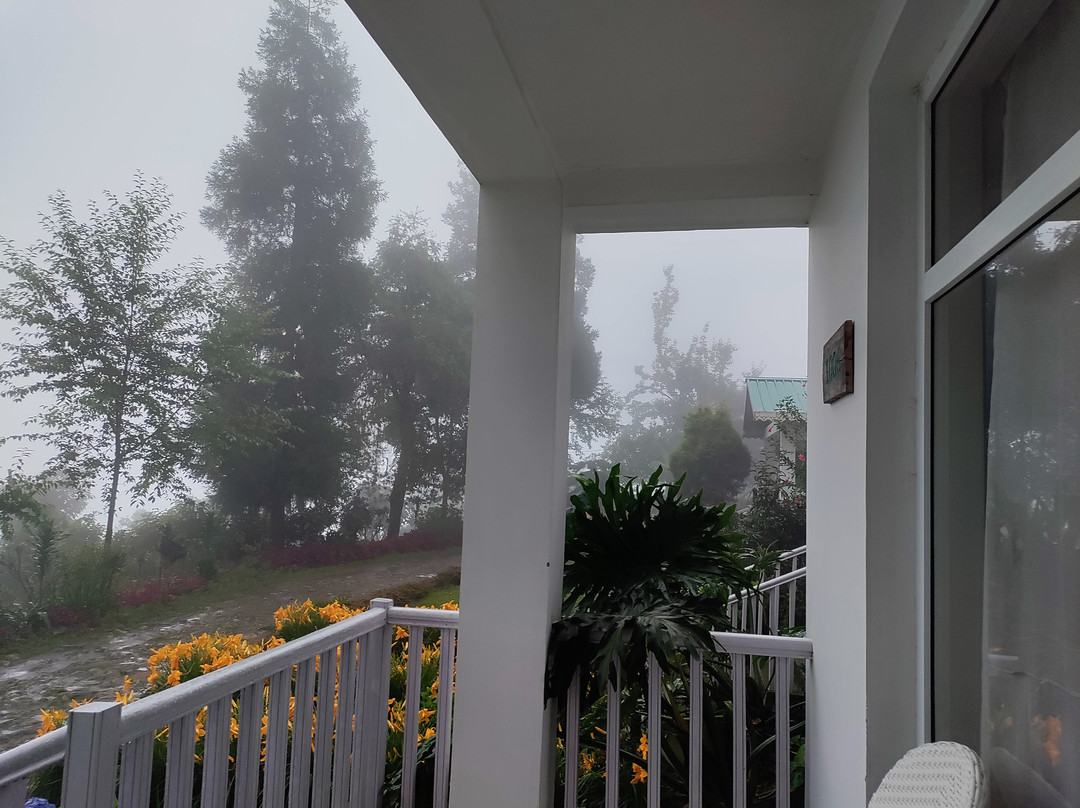 The Temi Bungalow, Eco Adventure Resorts主图