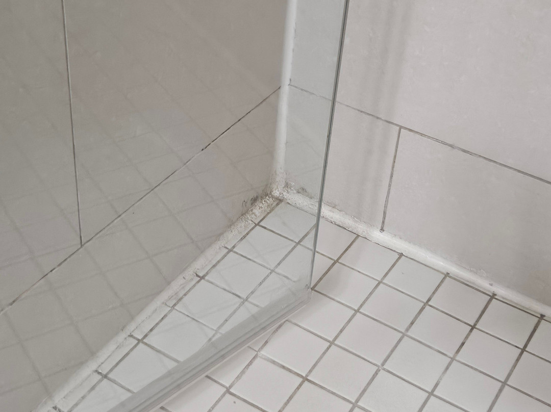 Best Western Plus Bowmanville主图