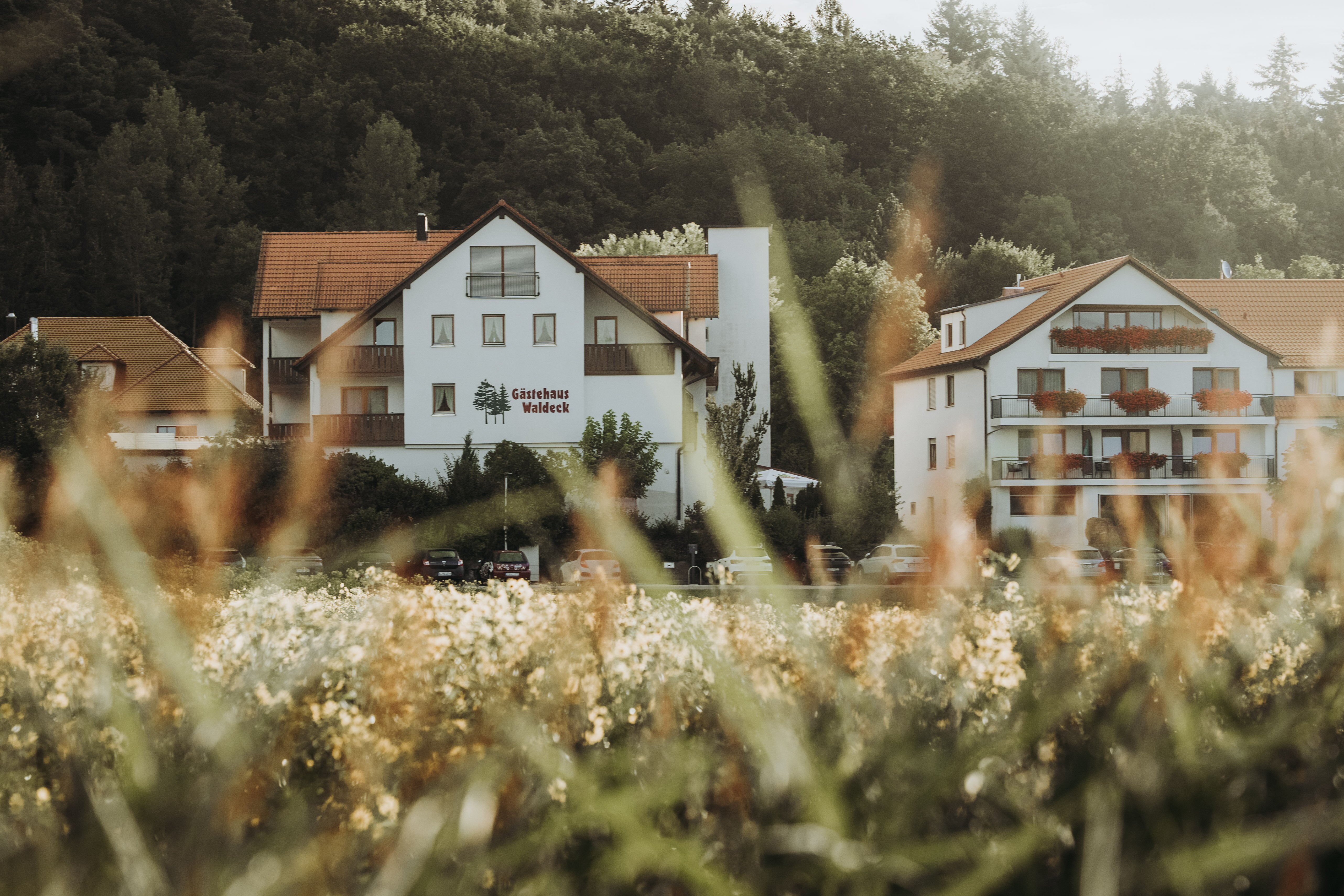 Landhotel Waldeck-浴室