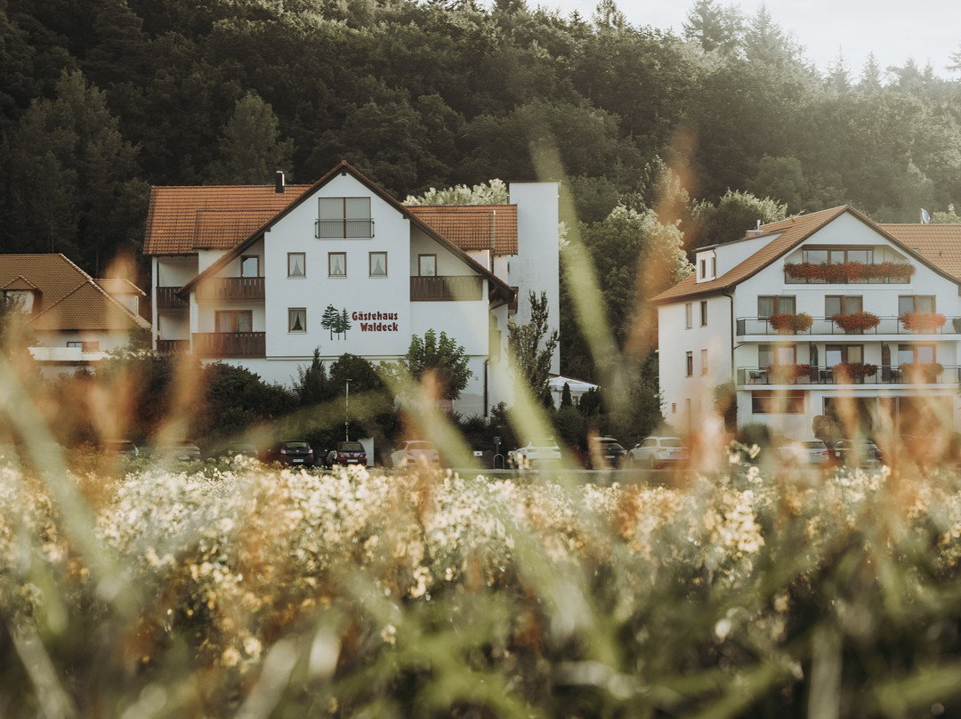 Landhotel Waldeck主图