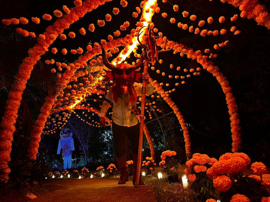 Castillo De La Salud