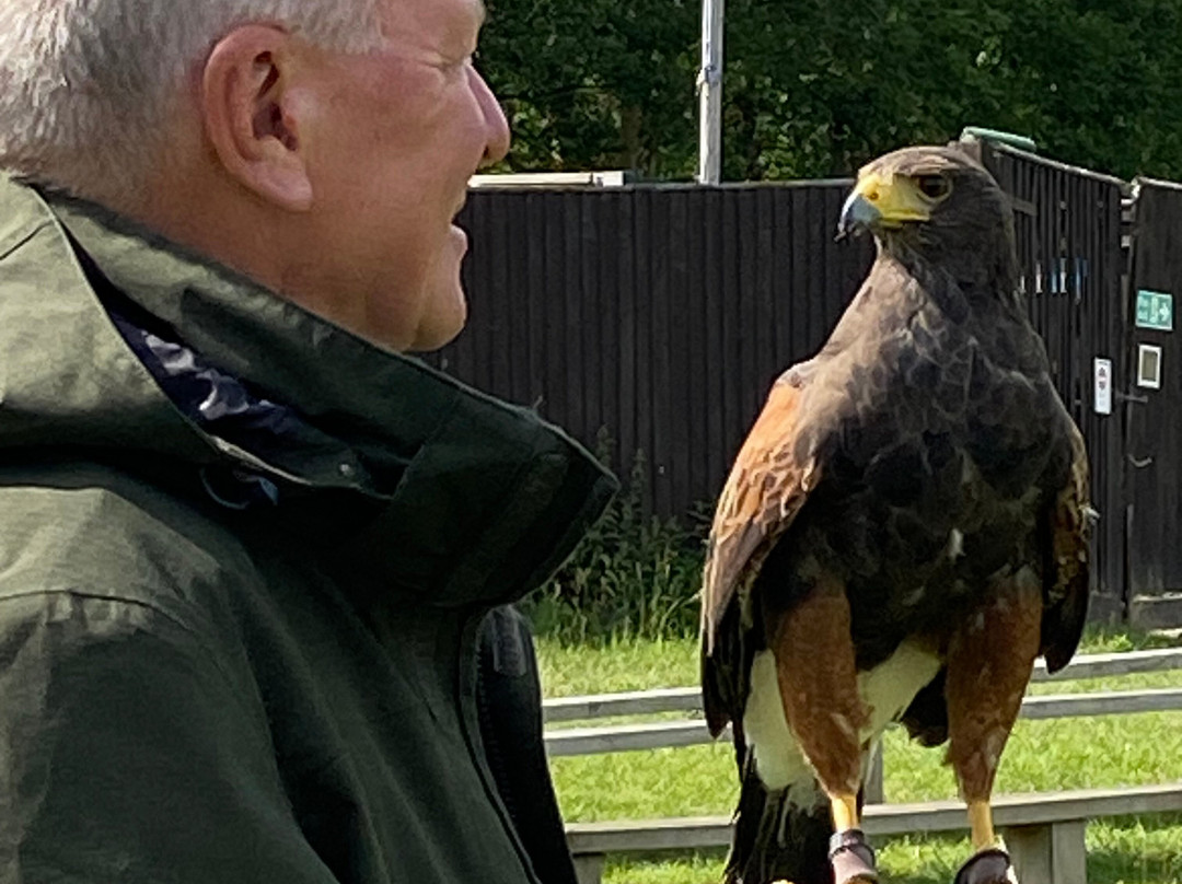 UK Owl And Raptor Centre景点图片
