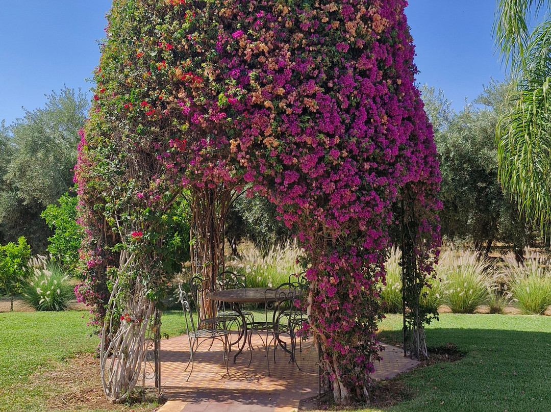 Les Perles de Zaraba主图