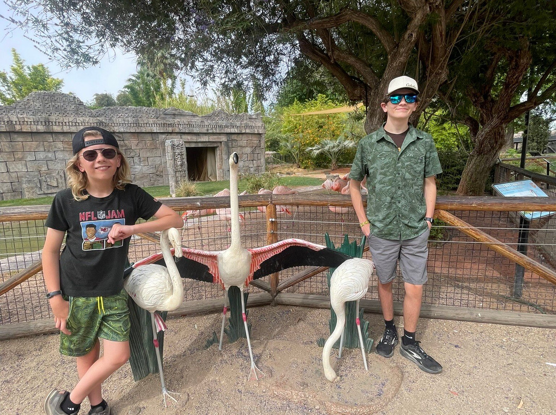 Reid Park Zoo-图森必去景点