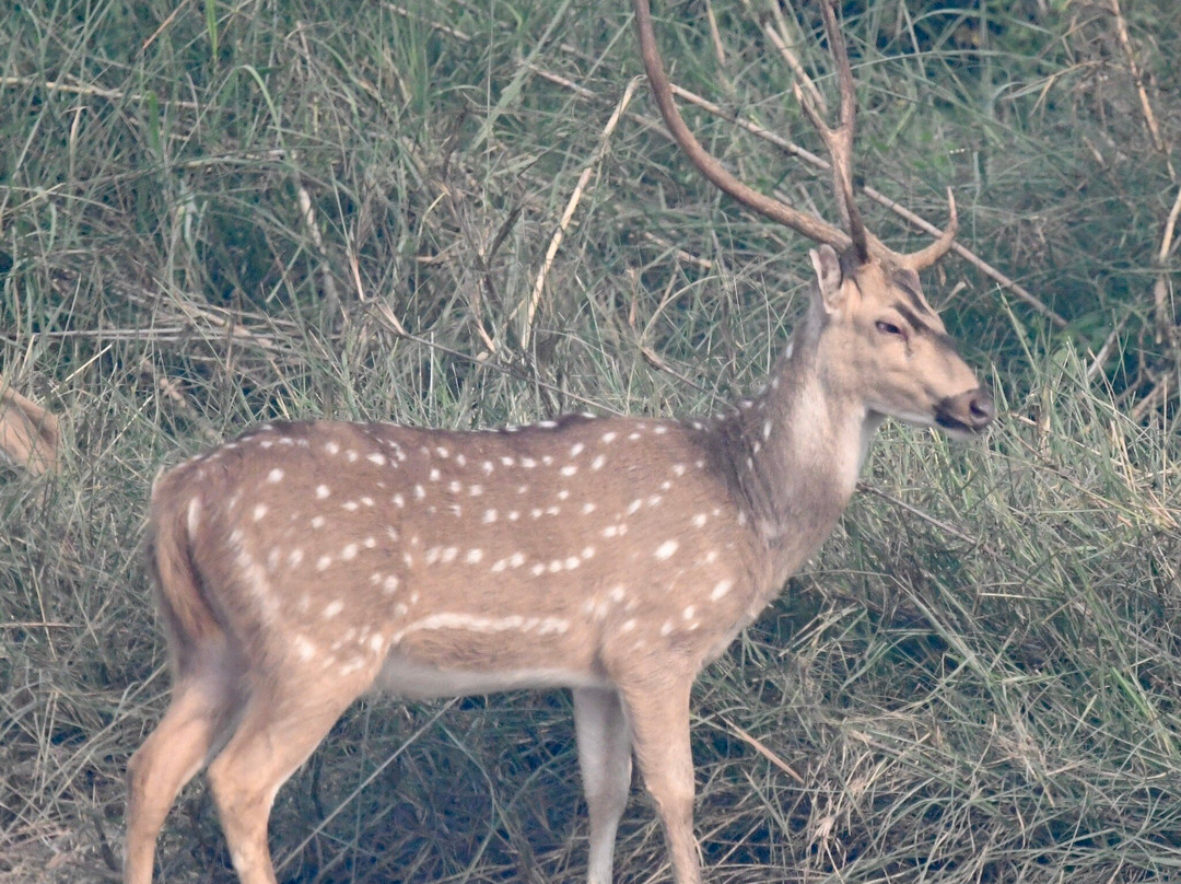 Mowgli's Eco Adventure-苏拉哈必去景点