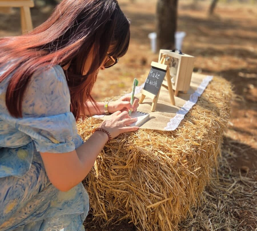Olive Grove Experience景点图片