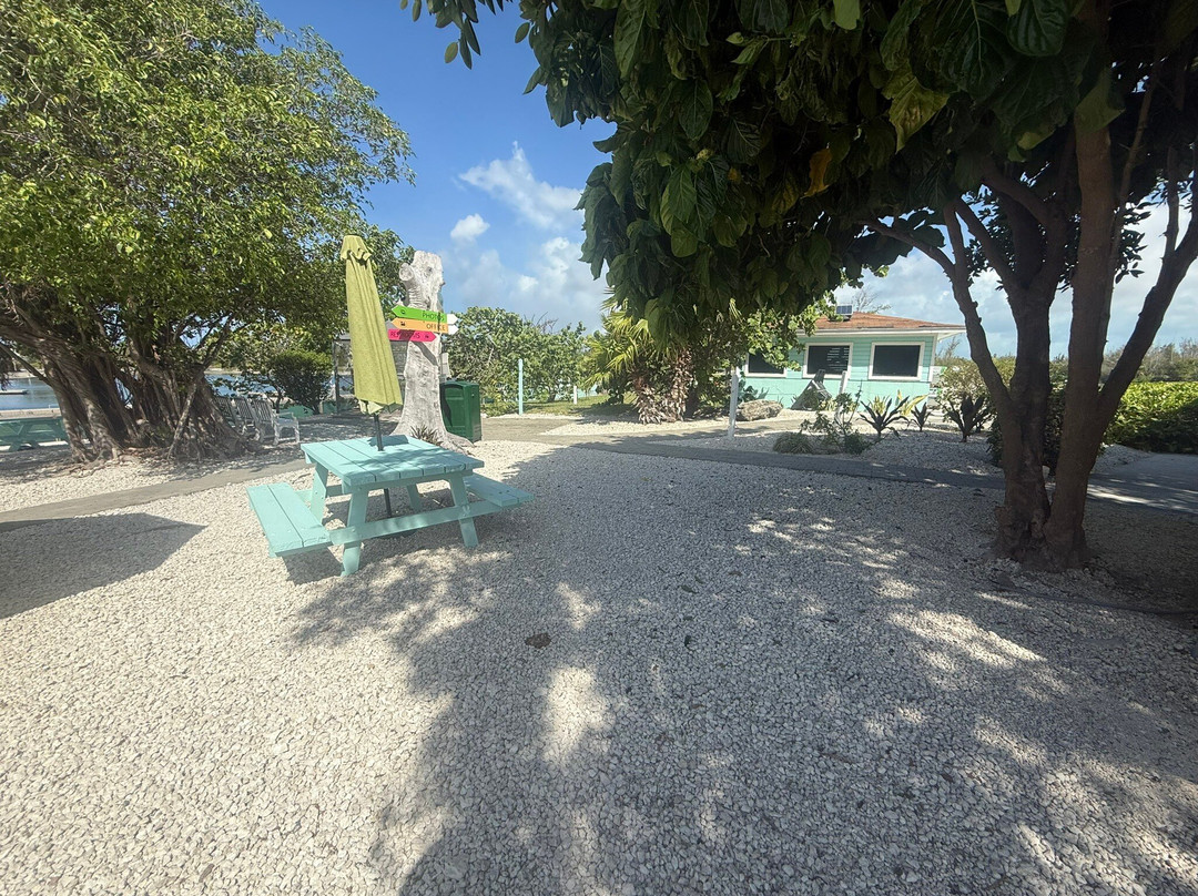 The Dolphin Experience-弗里波特必去景点