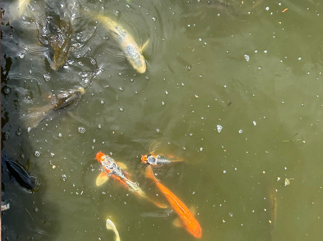 ABQ BioPark Botanic Garden-阿尔伯克基必去景点