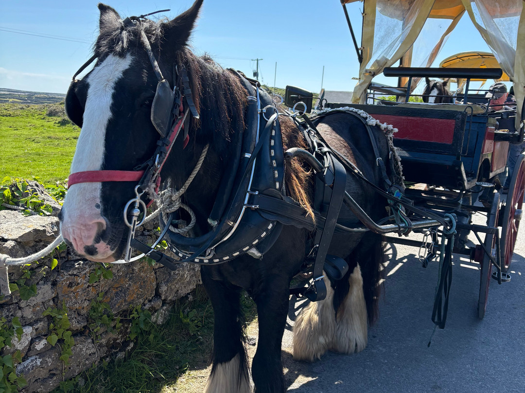 Inis Mor Horse Carriage tours-Inishmore必去景点
