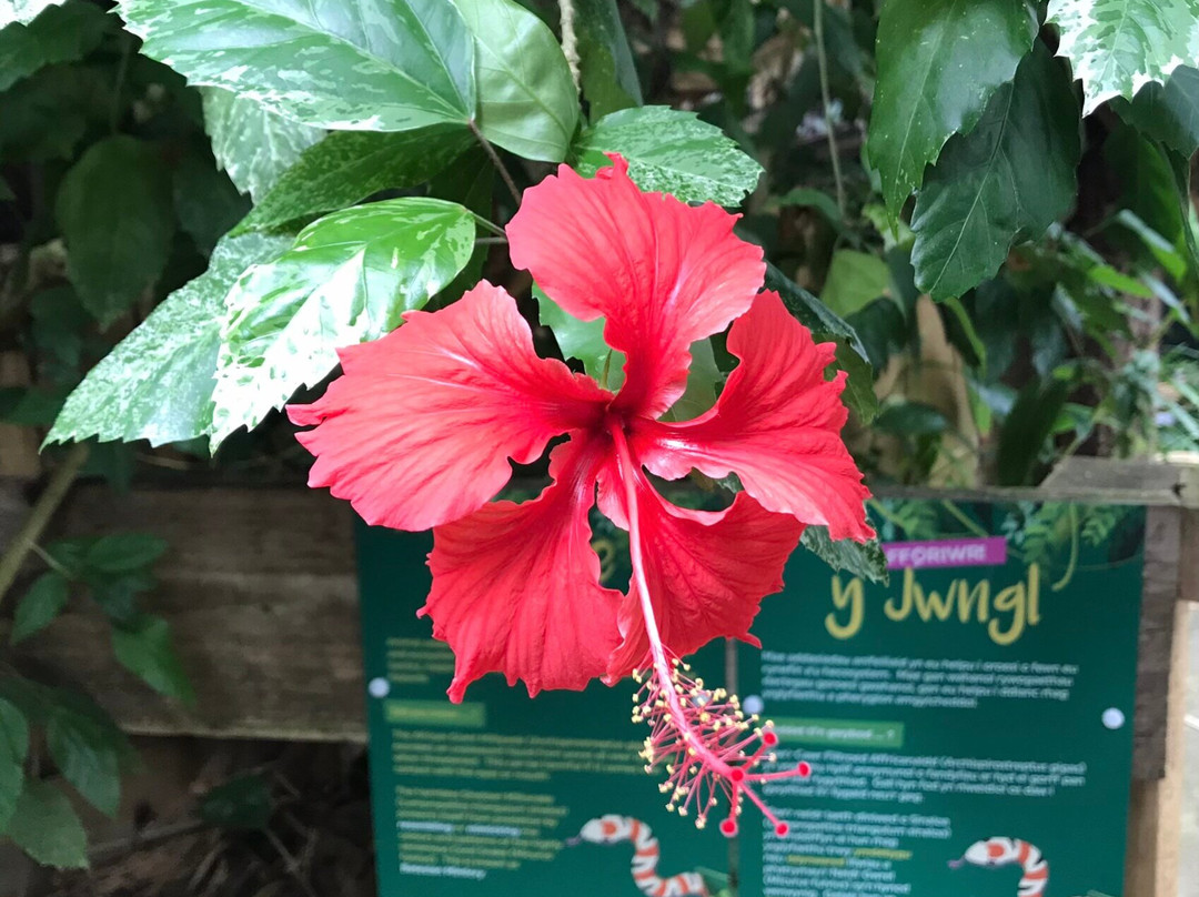 Plantasia Tropical Zoo景点图片