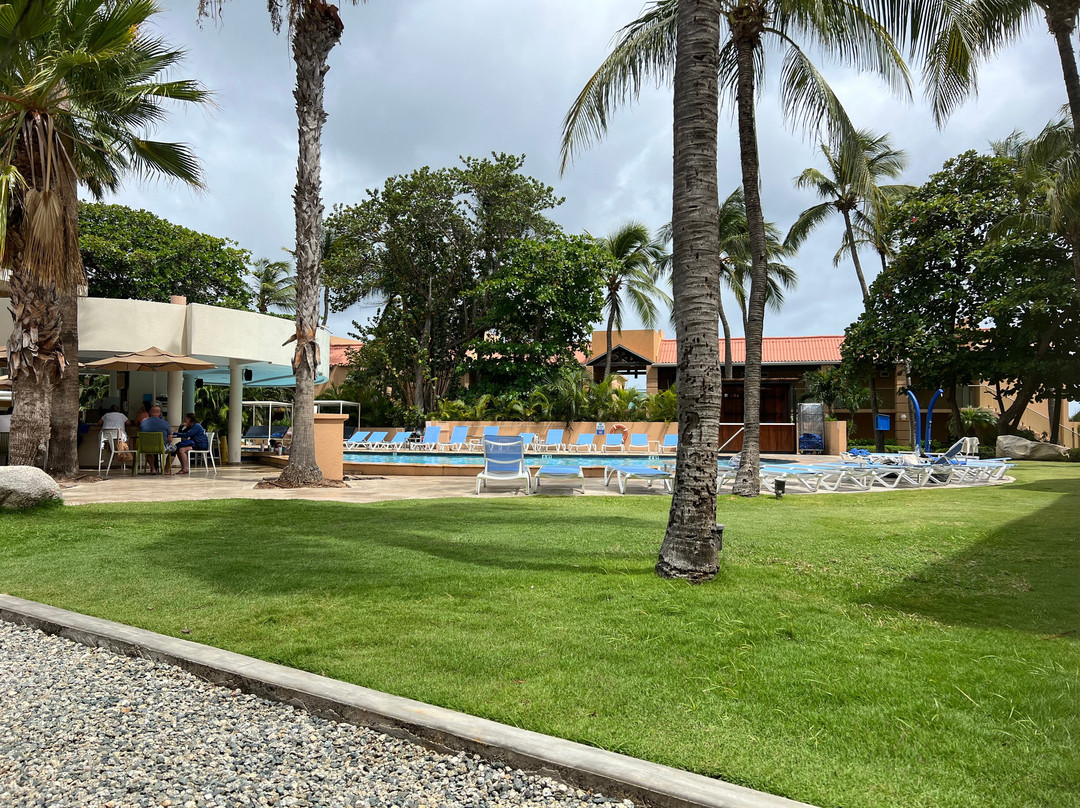 Divi Dutch Village Beach Resort主图