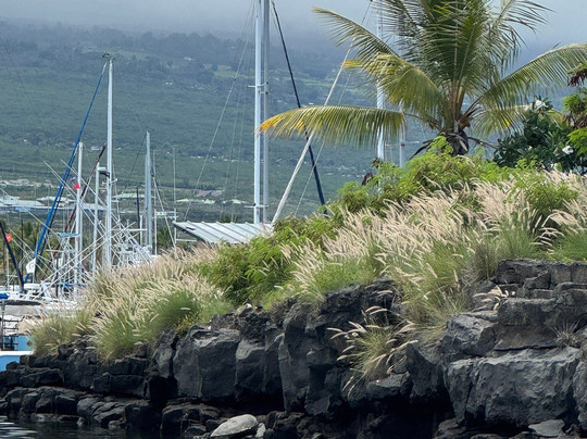 科纳海洋冒险-凯鲁瓦-柯纳必去景点